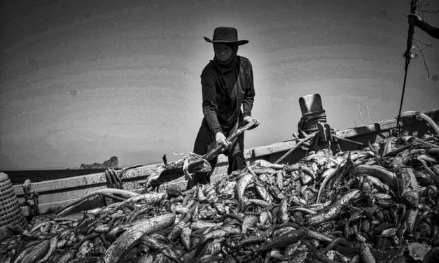 THE GUARIDAN — Nestlé admits slavery in Thailand while fighting child labour lawsuit in Ivory Coast