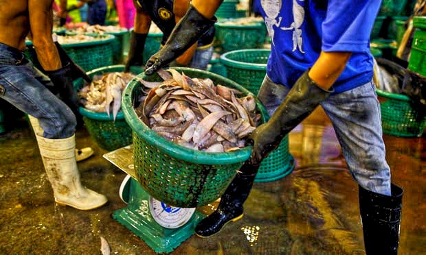 THE GUARDIAN — Thai seafood: are the prawns on your plate still fished by slaves?