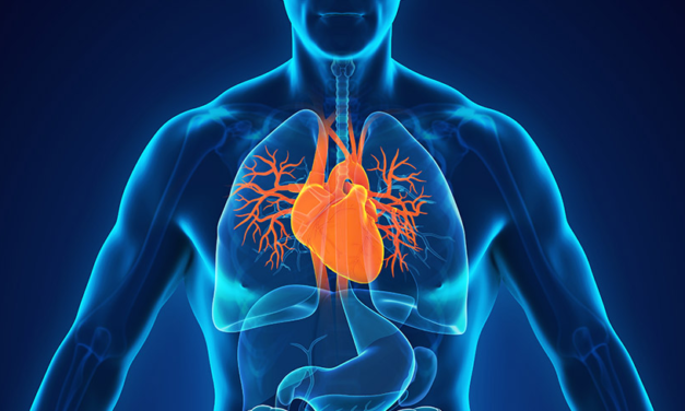 COUNCIL OF EUROPE: Trafficking in human organs: Council of Europe convention enters into force
