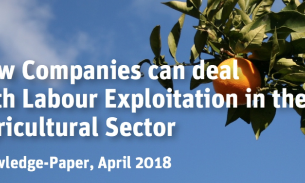 LÖNING — Human rights. Business. The future. How Companies can deal with Labour Exploitation in the Agricultural Sector ?