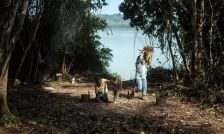 Le Saint-Siège accélère sur la diplomatie écologique avant le synode sur l’Amazonie