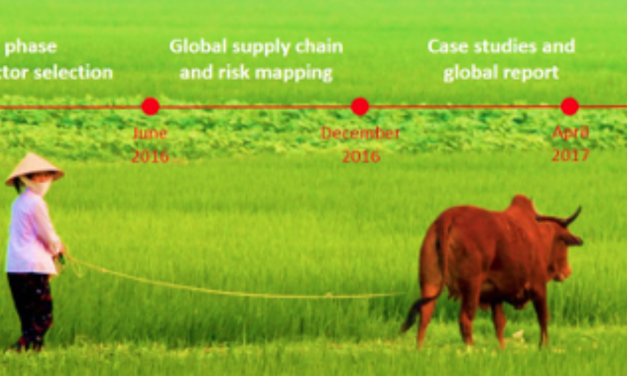 OSH in Global Supply Chains — SST dans les chaînes d’approvisionnement mondiales / According to ILO estimates, 60 to 80 per cent of world trade involves global supply chains (GSCs).