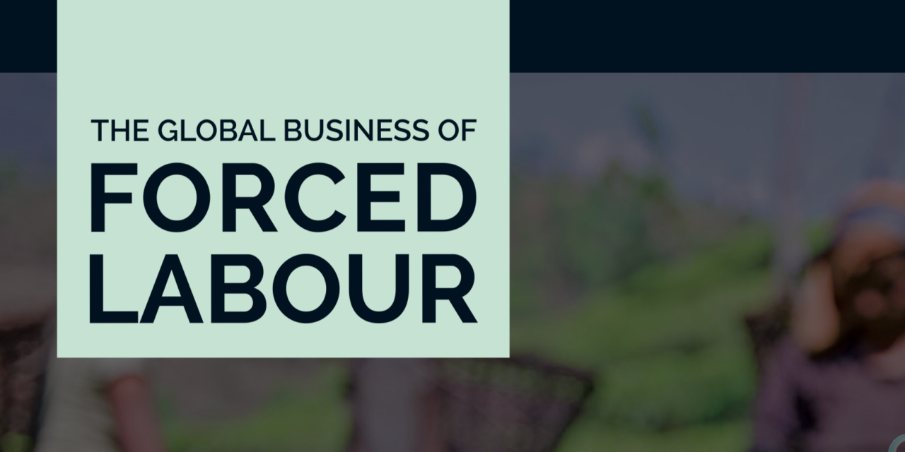 The Global Business of Forced Labour: Report of Findings 2018 / CERTIFICATION ‘MAKING NO DIFFERENCE’ TO SUPPLY CHAIN LABOUR ABUSES