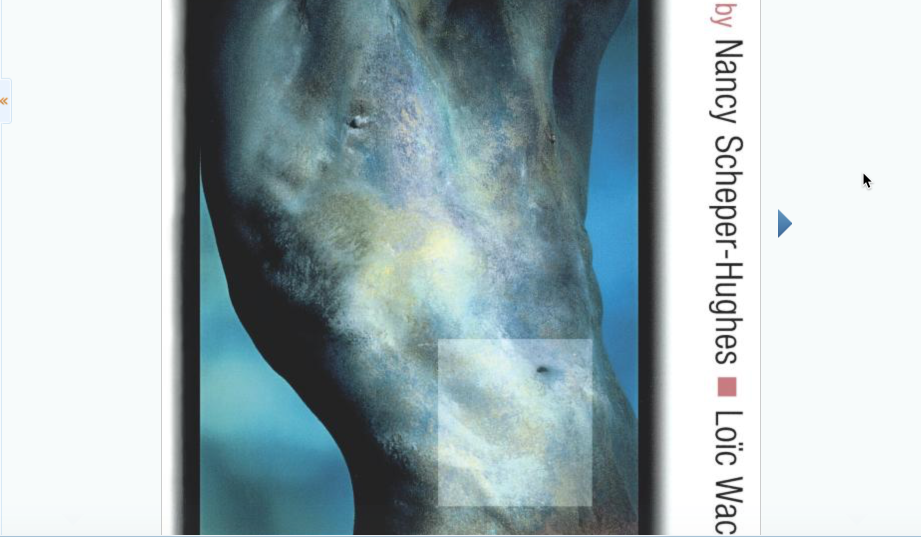 BOOK — BERKELEY UNIVERSITY — Commodifying Bodies / Nancy L. Ascher, President of The Transplantation Society (TTS), USA