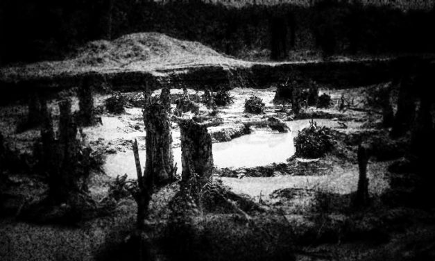 CNN — How modern slavery is destroying the environment!