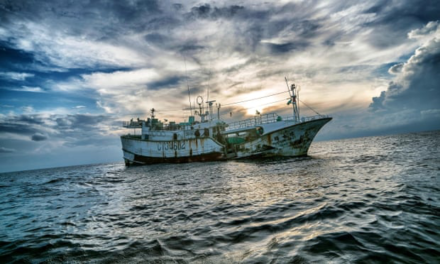 THE GUARDIAN — Ship of horrors: life and death on the lawless high seas – podcast — From bullying and sexual assault to squalid living conditions and forced labour, working at sea can be a grim business – and one deep-sea fishing fleet is particularly notorious