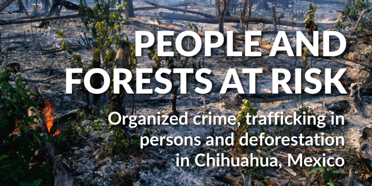 The Global Initiative Against Transnational Organized Crime —  PEOPLE AND FORESTS AT RISK Organized crime, trafficking in persons and deforestation in Chihuahua, Mexico