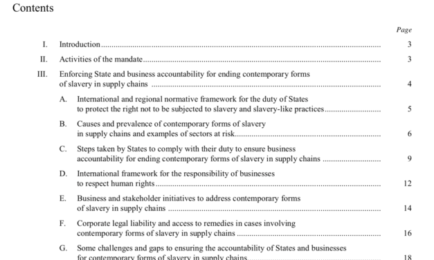 Enforcing State and business accountability for ending contemporary forms of  slavery in supply chains — Report of the Special Rapporteur on contemporary forms of slavery, including its causes and consequences, Urmila Bhoola