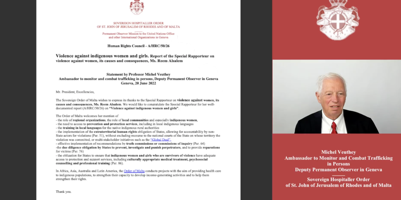 Human Rights Council — A/HRC/50/26 — Violence against indigenous women and girls. Report of the Special Rapporteur on violence against women, its causes and consequences, Ms. Reem Alsalem — Statement by Professor Michel Veuthey