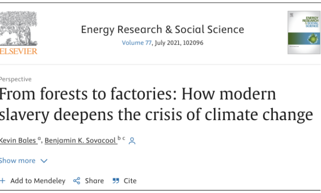 KEVIN BALES: From forests to factories: How modern slavery deepens the crisis of climate change