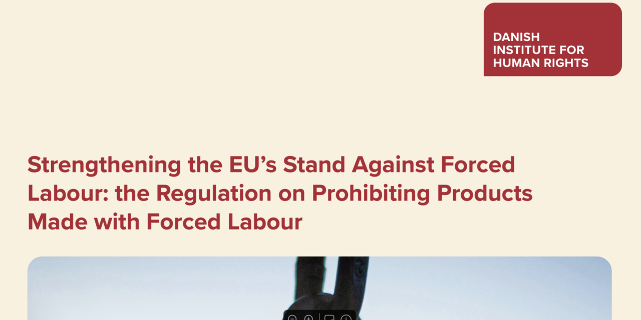 Strengthening the EU’s Stand Against Forced Labour: the Regulation on Prohibiting Products Made with Forced Labour