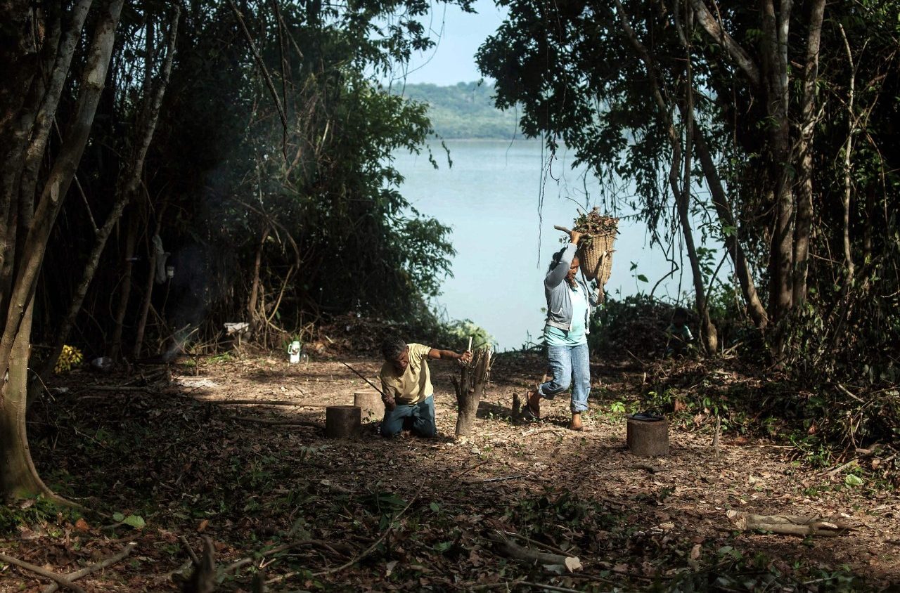 Le Saint-Siège accélère sur la diplomatie écologique avant le synode sur l’Amazonie